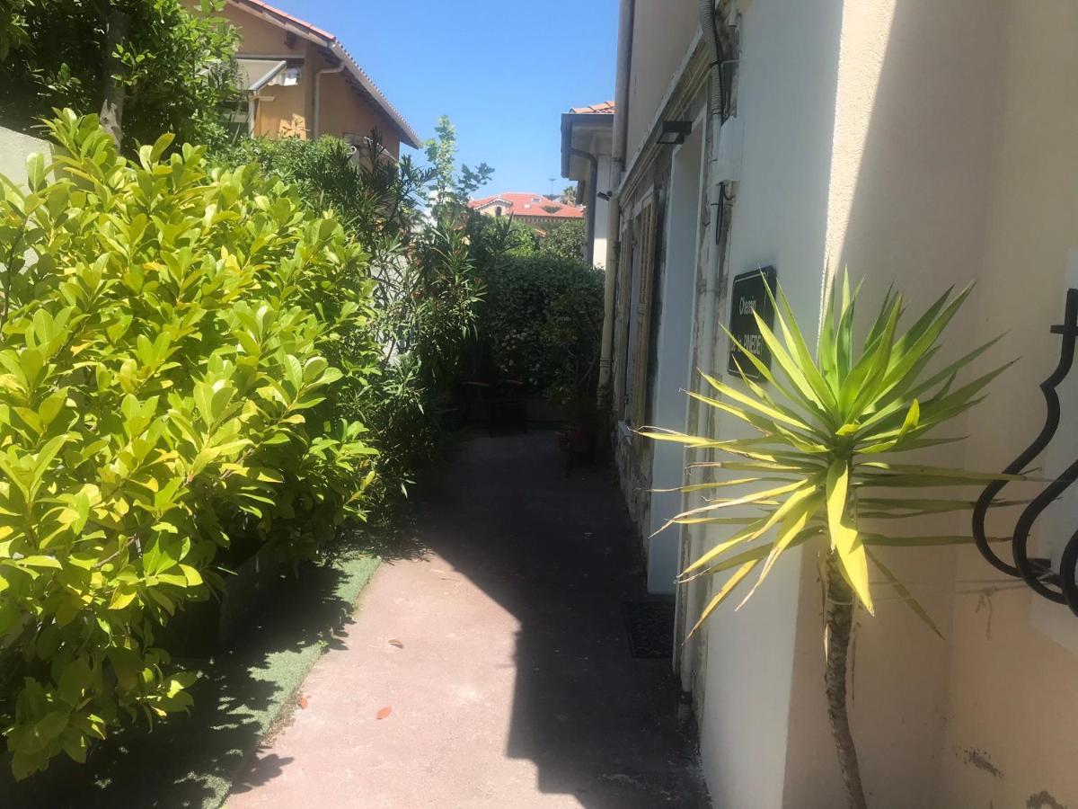 Villa Mon Reve Apartements Nizza Kültér fotó